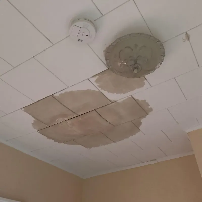 Ceiling Water Damage Repair in Corona, CA
